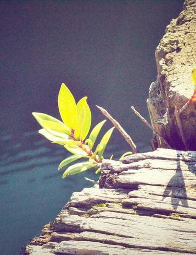 Селфи у зеркала