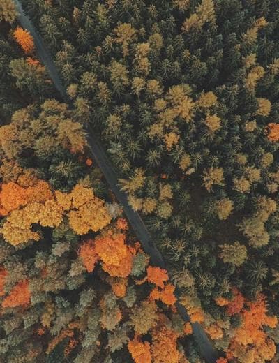 Вечер в платье